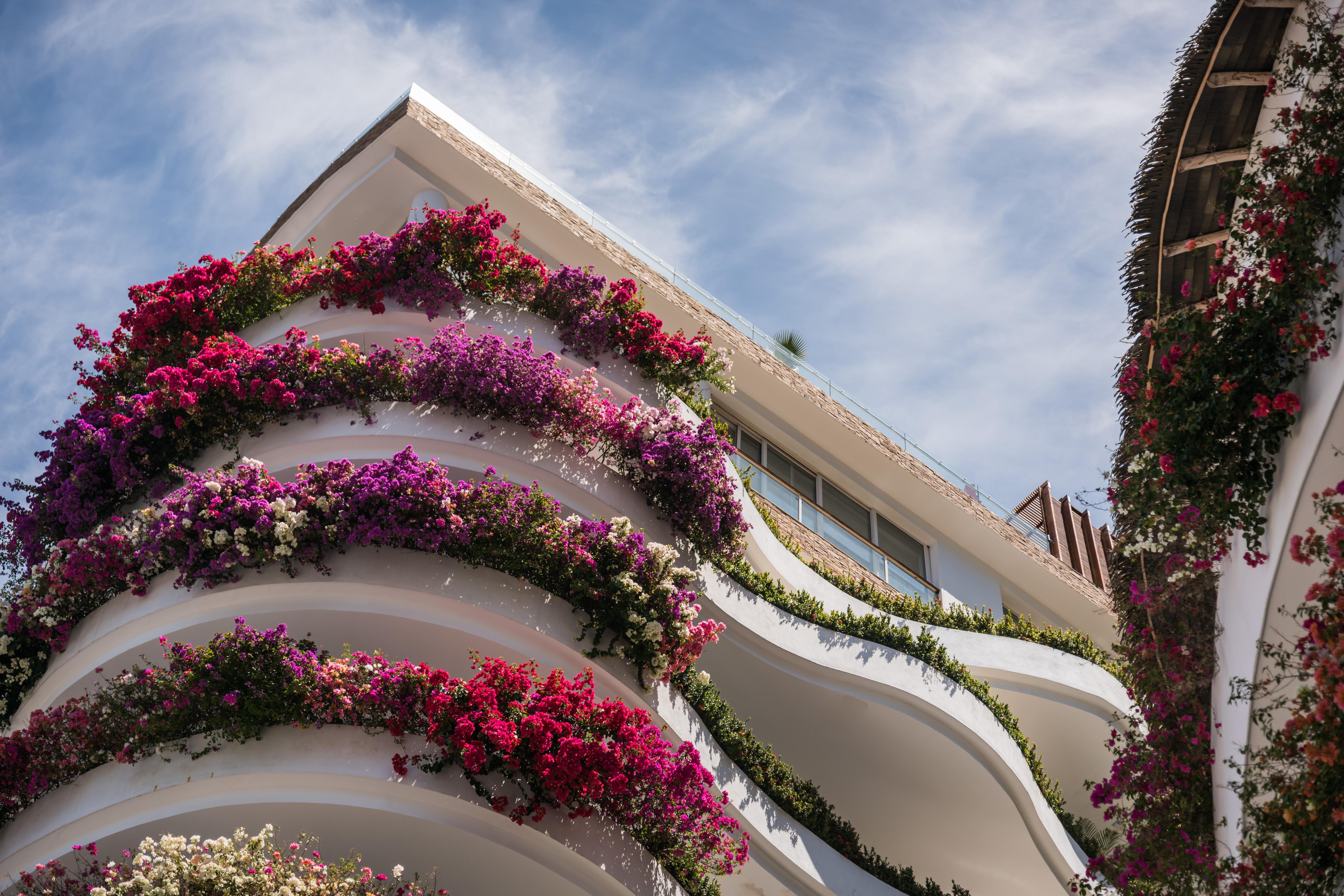 Grand Miramar All Luxury Suites & Residences (Adults Only) Puerto Vallarta Buitenkant foto