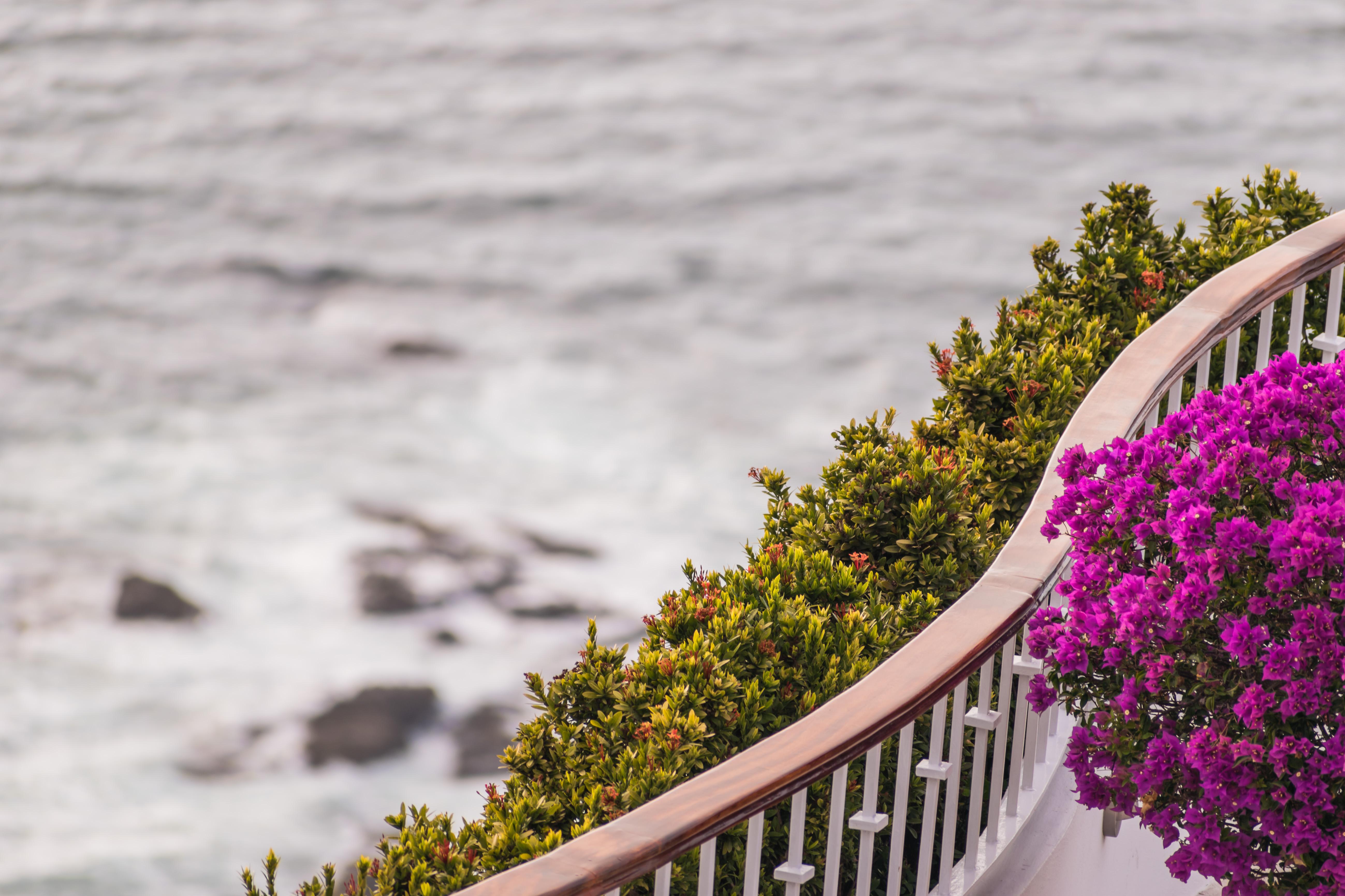 Grand Miramar All Luxury Suites & Residences (Adults Only) Puerto Vallarta Buitenkant foto