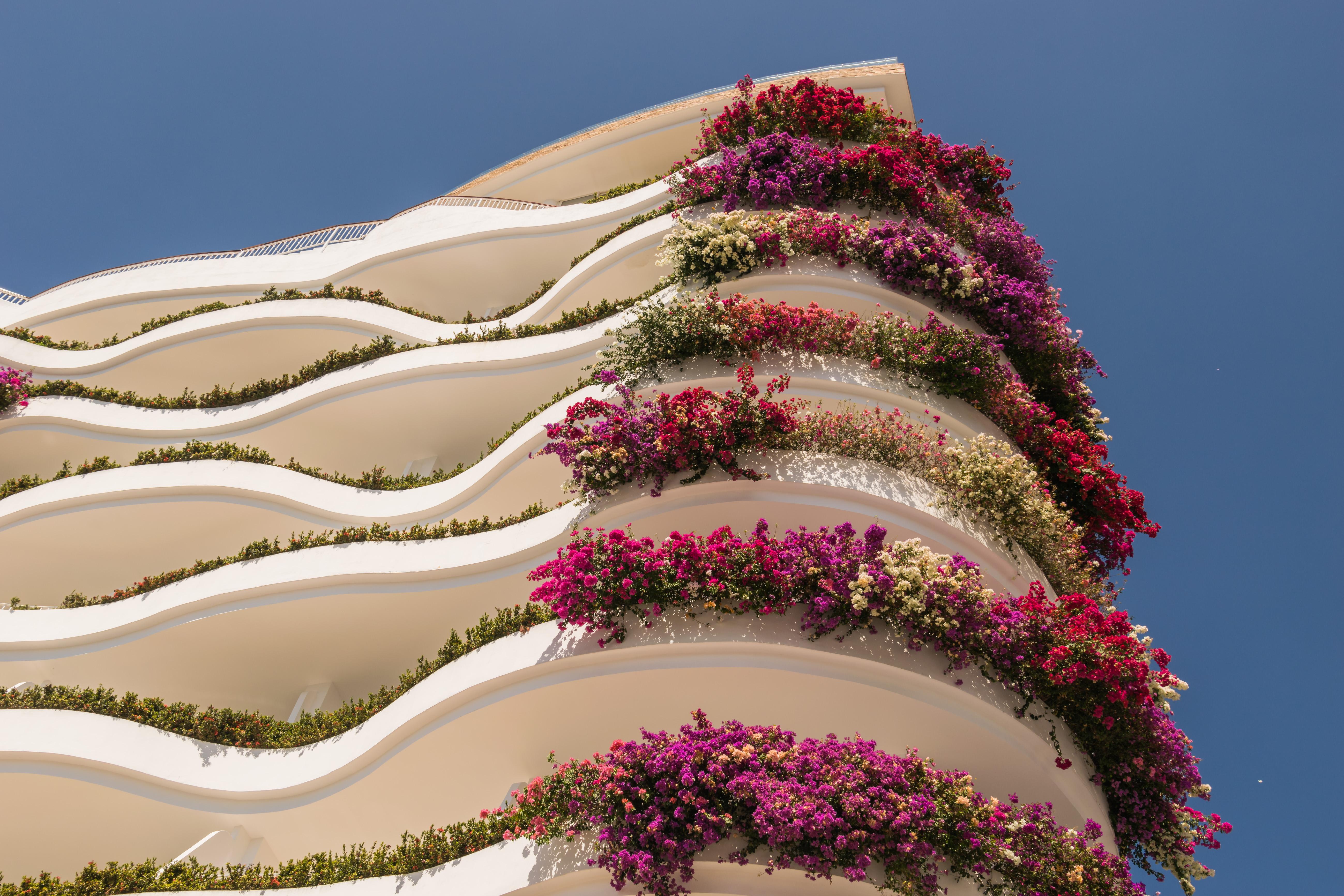 Grand Miramar All Luxury Suites & Residences (Adults Only) Puerto Vallarta Buitenkant foto