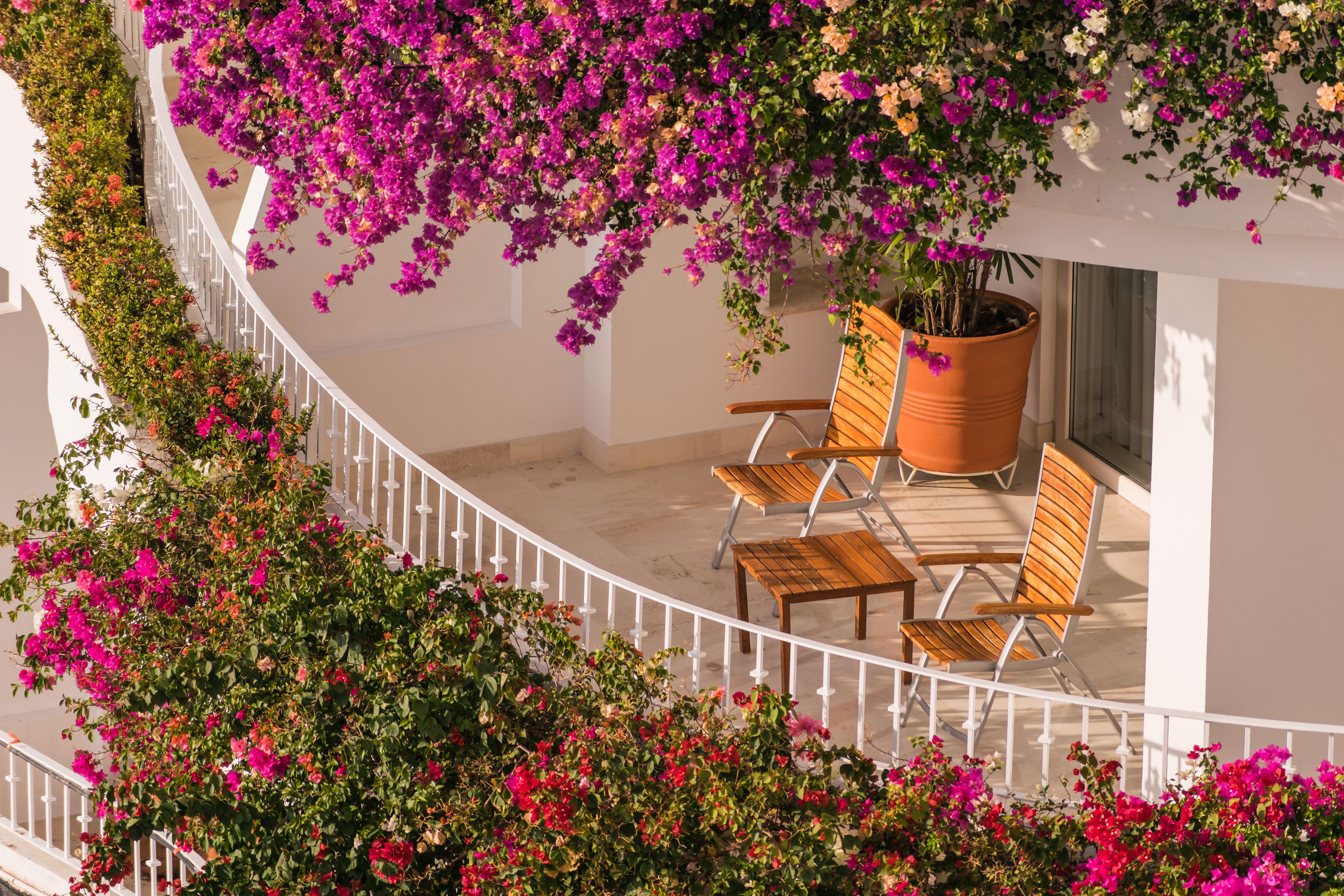 Grand Miramar All Luxury Suites & Residences (Adults Only) Puerto Vallarta Buitenkant foto