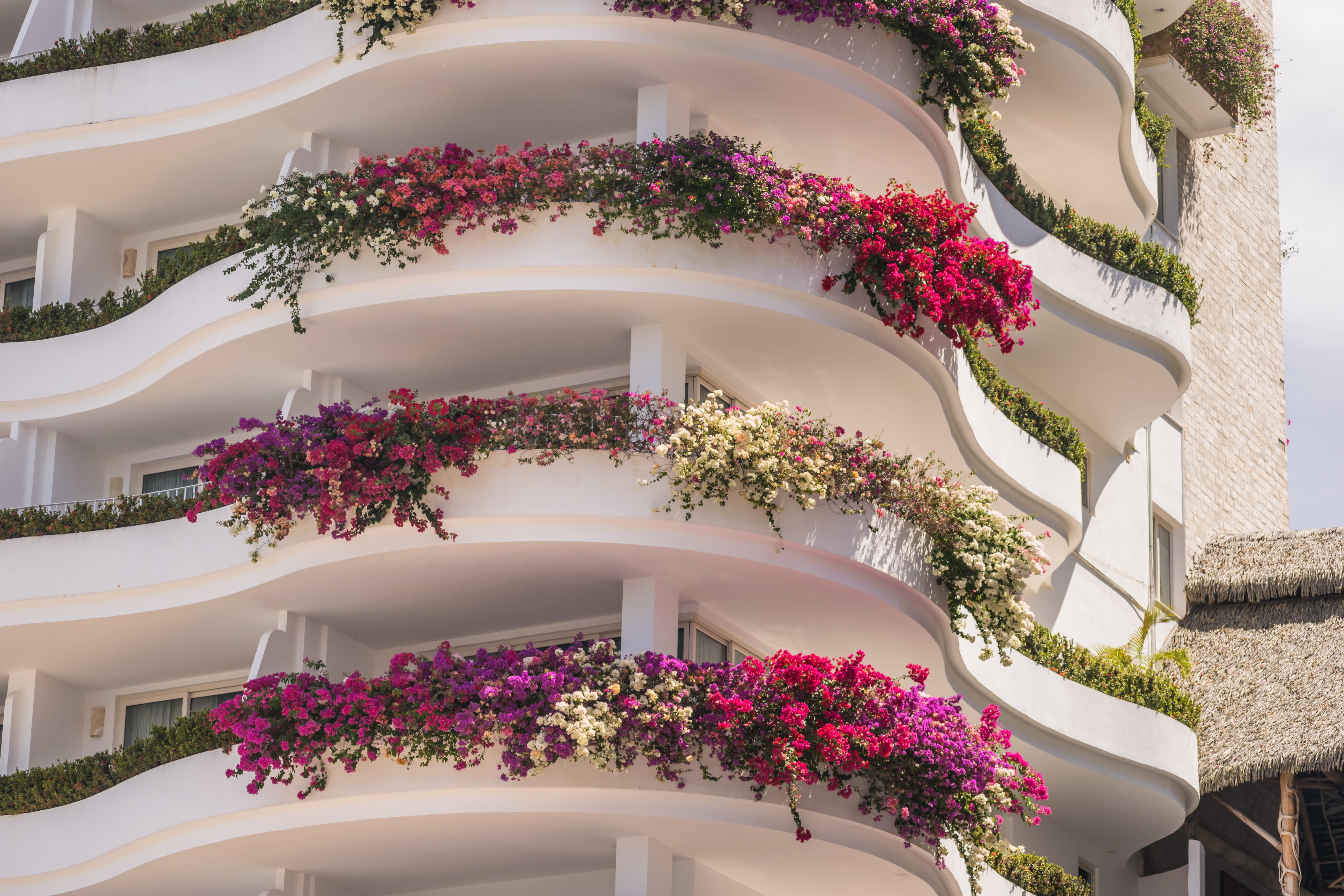 Grand Miramar All Luxury Suites & Residences (Adults Only) Puerto Vallarta Buitenkant foto