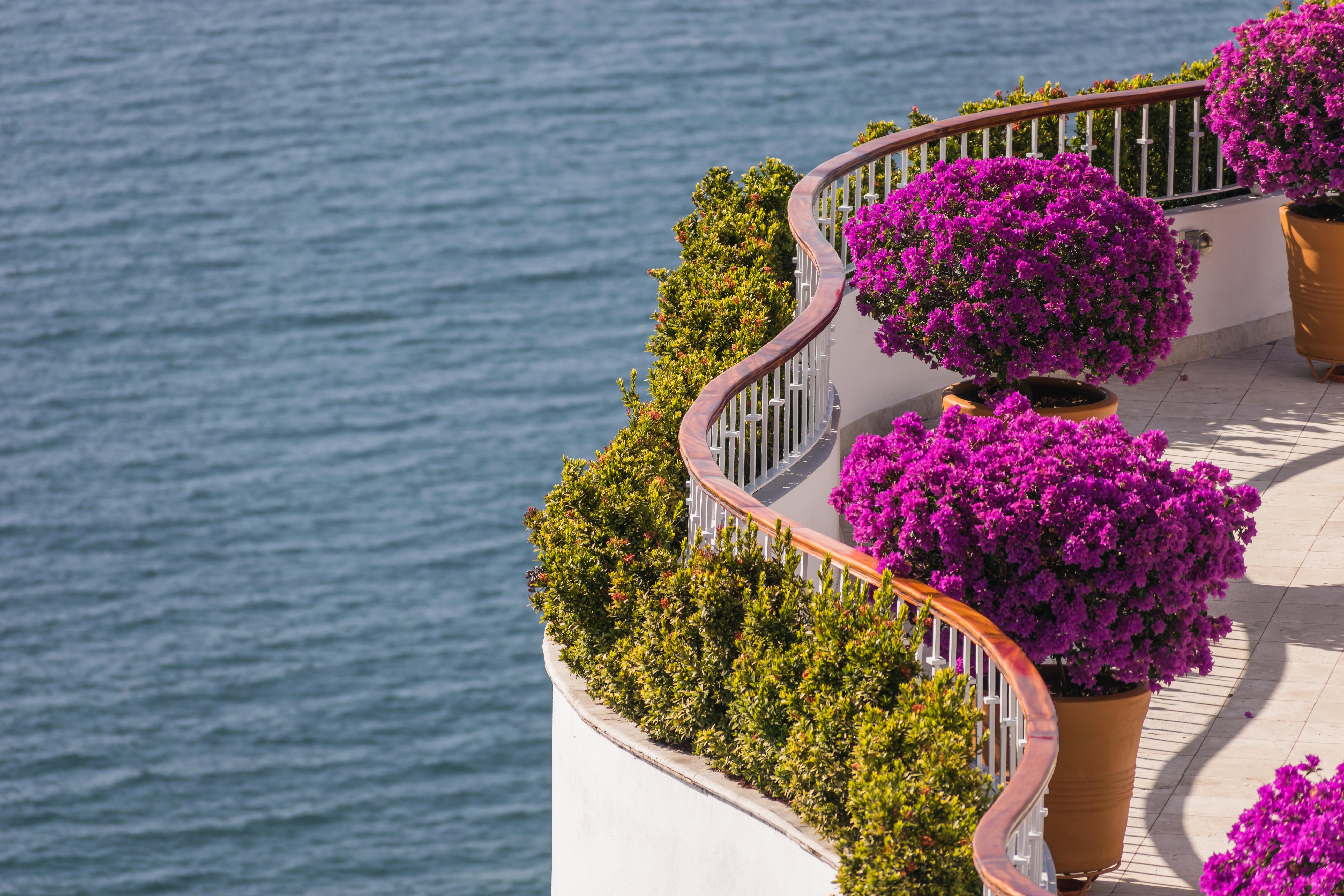 Grand Miramar All Luxury Suites & Residences (Adults Only) Puerto Vallarta Buitenkant foto