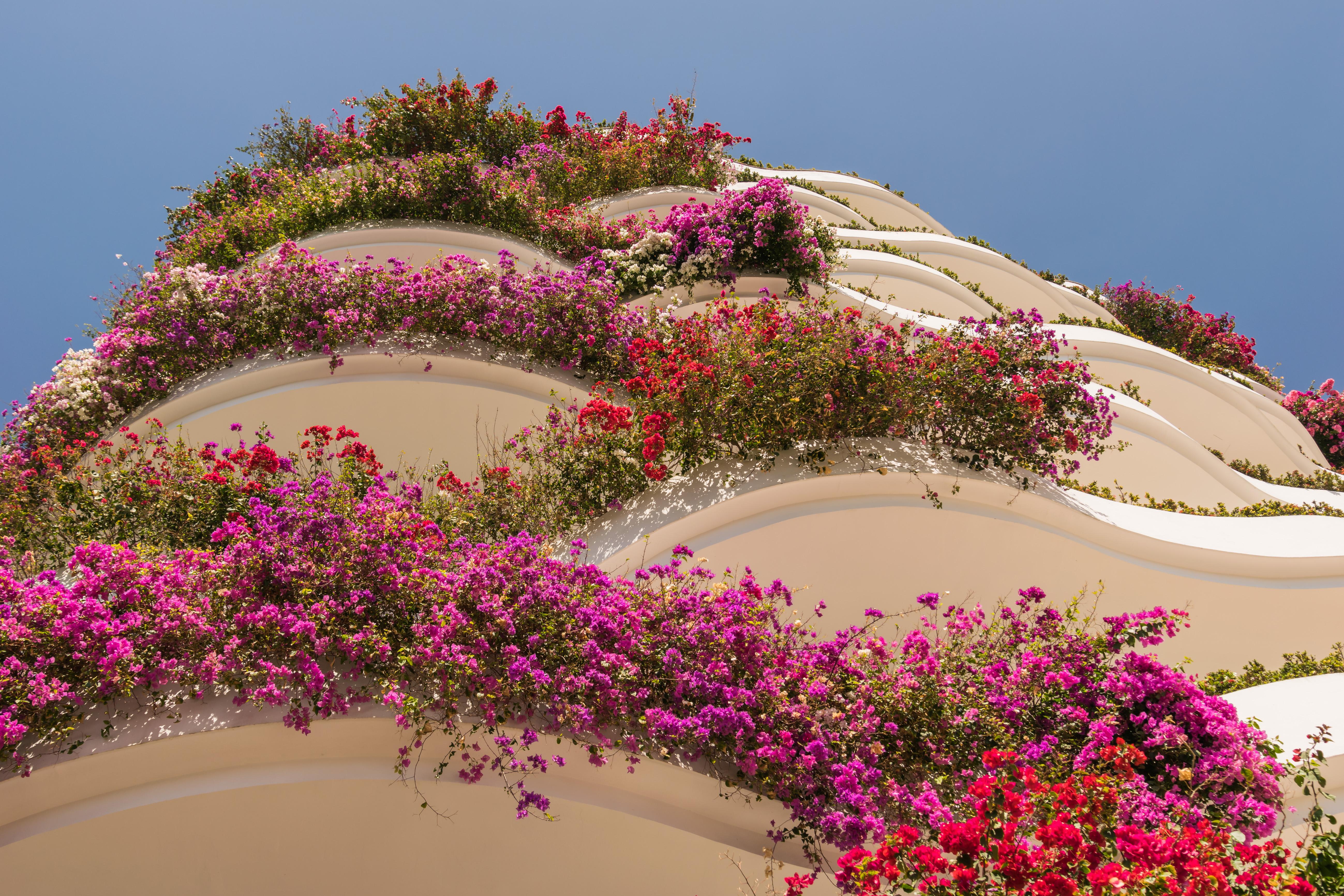 Grand Miramar All Luxury Suites & Residences (Adults Only) Puerto Vallarta Buitenkant foto